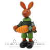Easter Bunny with Carrot