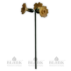 Blüte für Blumenkind, natur - Primel