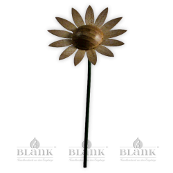 Blüte für Blumenkind, natur - Sonnenblume