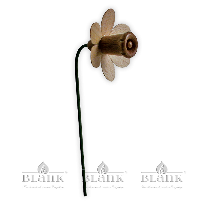 Blüte für Blumenkind, natur - Narzisse