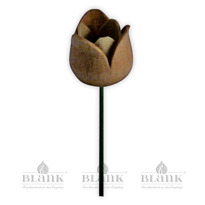Blüte für Blumenkind, natur - Tulpe