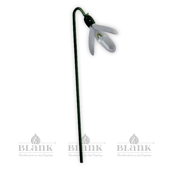 Blüte für Blumenkind, farbig - Schneeglöckchen