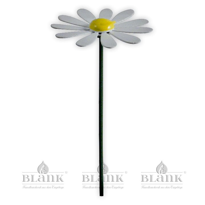 Blüte für Blumenkind, farbig - Margerite
