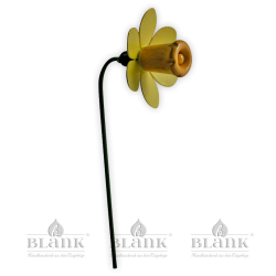 Blüte für Blumenkind, farbig