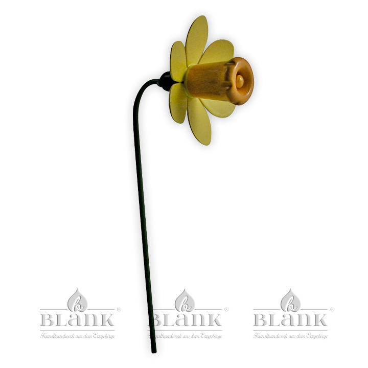Blüte für Blumenkind, farbig