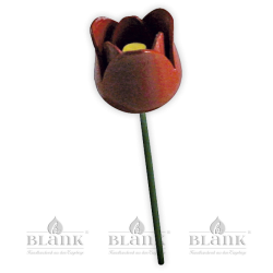 Blüte für Blumenkind, farbig - Tulpe