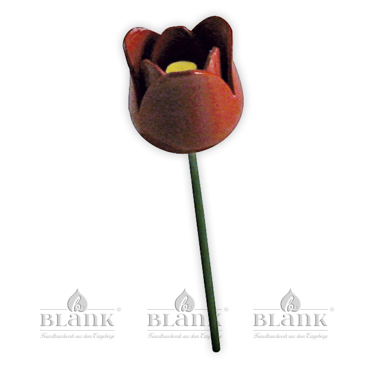 Blüte für Blumenkind, farbig - Tulpe