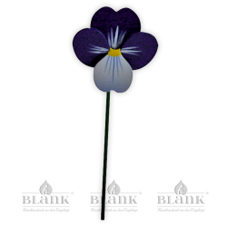 Blüte für Blumenkind, farbig - Vergissmeinnicht